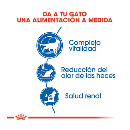 Royal Canin Indoor +7 pienso para gatos senior de interior.