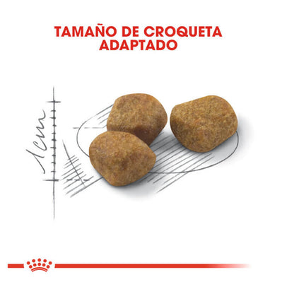 Royal Canin Indoor +7 pienso para gatos senior de interior.