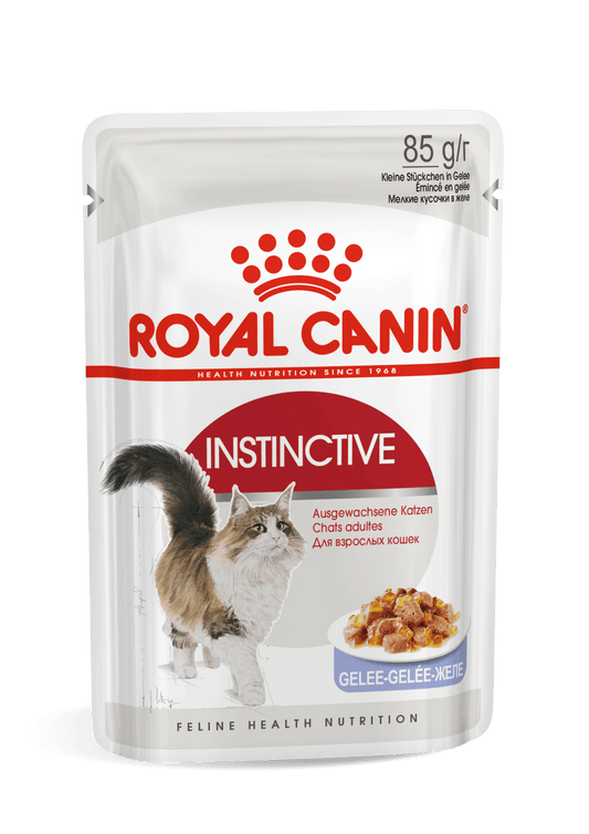 ROYAL CANIN Instinctive Jelly comida húmeda en gelatina para gatos adultos 12 x 85 g