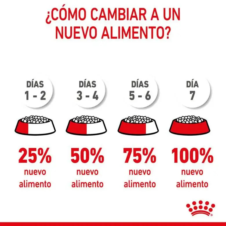 Royal Canin Kitten 36 pienso para gatitos de 4 a 12 meses.