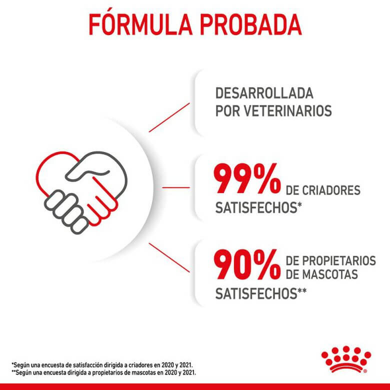 Royal Canin Kitten 36 pienso para gatitos de 4 a 12 meses.