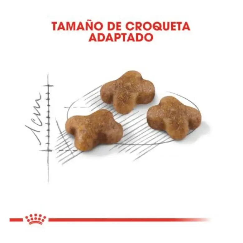 Royal Canin Kitten 36 pienso para gatitos de 4 a 12 meses.