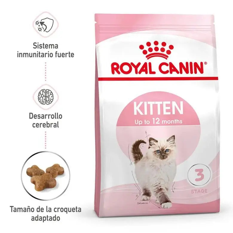 ROYAL CANIN Second Age Kitten 36 / Pienso Para Gatos Gabo y Gordo E Shop, la mejor tienda online en las Islas Canarias, España, tienda online para mascotas, perros, gatos, conejos, tortugas, animales, accesorios para mascotas en general. 
Gabo y Gordo E Shop in Canary Islands, the best store for pets, dogs, cats, rabbits, turtles, animals, pet accessories.