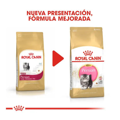Royal Canin Kitten Persian pienso gatitos persas Gabo y Gordo E Shop
