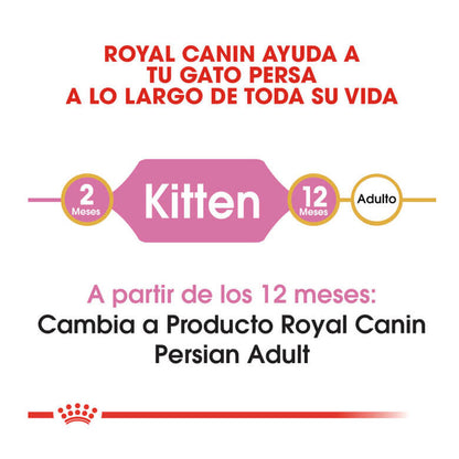 Royal Canin Kitten Persian pienso gatitos persas Gabo y Gordo E Shop