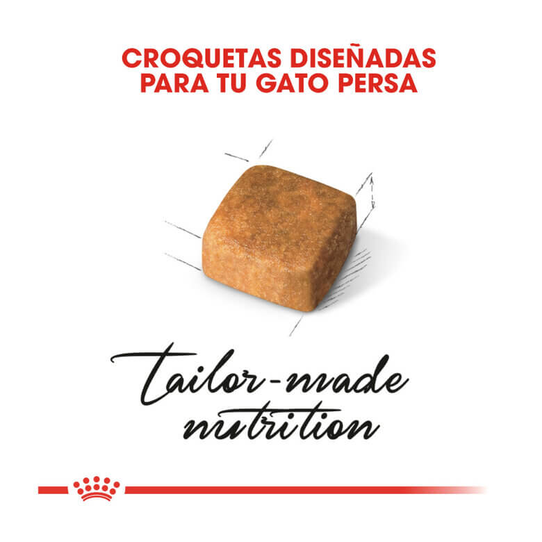 Royal Canin Kitten Persian pienso gatitos persas Gabo y Gordo E Shop