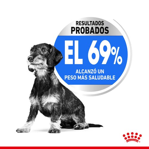 Royal Canin Light Weight Care pienso control peso perros Gabo y Gordo E Shop