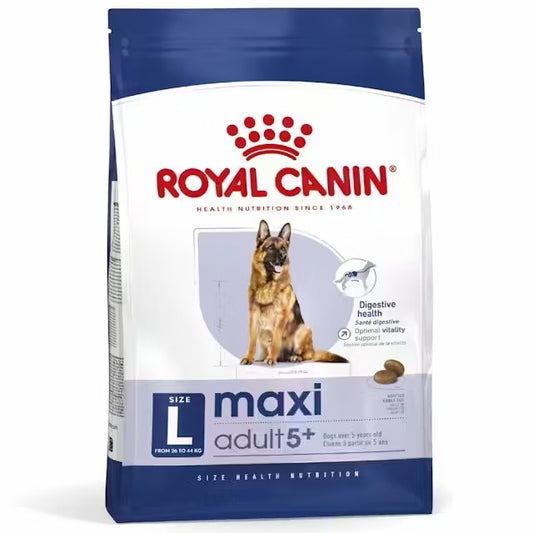 Royal Canin Maxi Adult 5+ pienso perros grandes maduros Gabo y Gordo E Shop