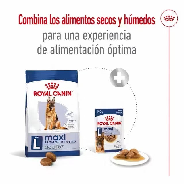 Royal Canin Maxi Adult 5+ pienso perros grandes maduros Gabo y Gordo E Shop