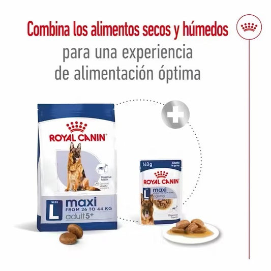 Royal Canin Maxi Adult 5+ pienso perros grandes maduros Gabo y Gordo E Shop
