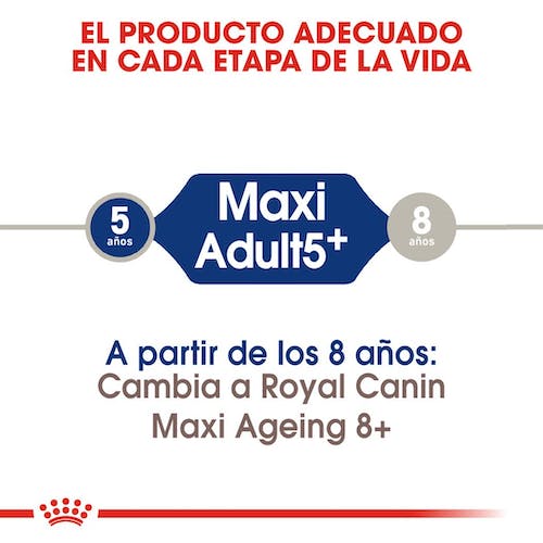 Royal Canin Maxi Adult 5+ pienso perros grandes maduros Gabo y Gordo E Shop