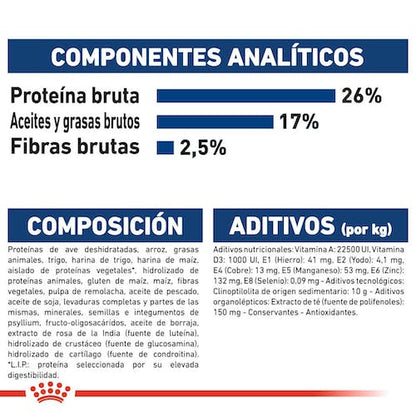 Royal Canin Maxi Adult 5+ pienso perros grandes maduros Gabo y Gordo E Shop