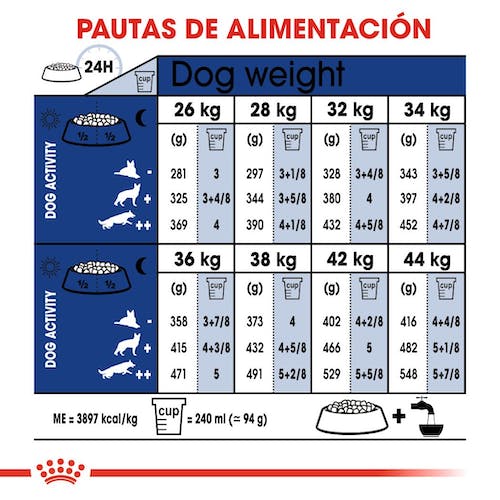 Royal Canin Maxi Adult 5+ pienso perros grandes maduros Gabo y Gordo E Shop