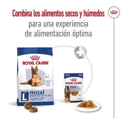 Royal Canin Maxi Adult 8+ pienso perros grandes senior Gabo y Gordo E Shop