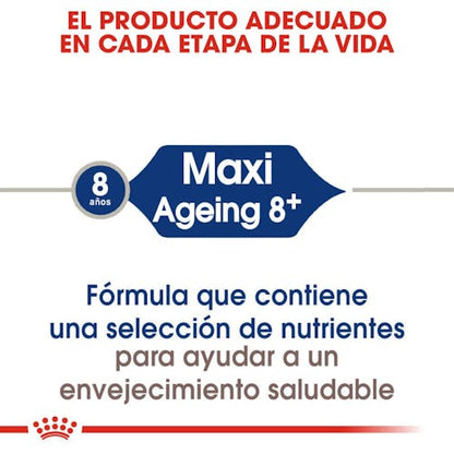 Royal Canin Maxi Adult 8+ pienso perros grandes senior Gabo y Gordo E Shop