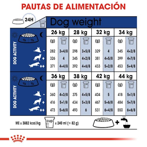 Royal Canin Maxi Adult 8+ pienso perros grandes senior Gabo y Gordo E Shop