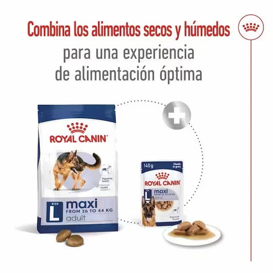 Royal Canin Maxi Adult pienso perros grandes Gabo y Gordo E Shop
