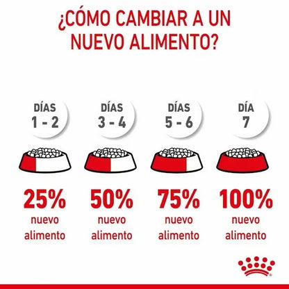Royal Canin Maxi Puppy pienso cachorros razas grandes Gabo y Gordo E Shop