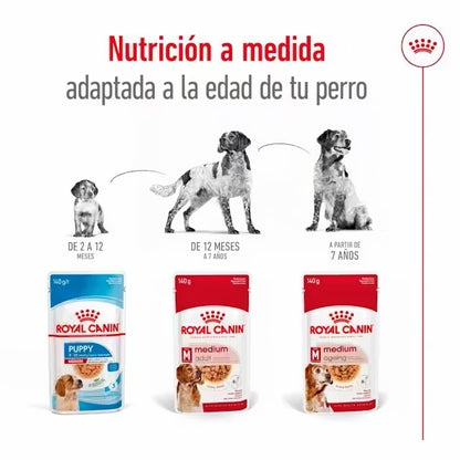 Pack Royal Canin Medium Adult 10x140g para perros medianos adultos