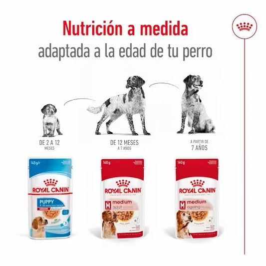Pack Royal Canin Medium Adult 10x140g para perros medianos adultos