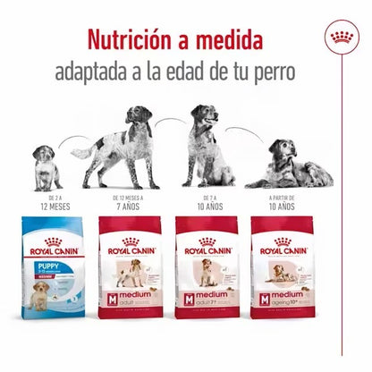 Royal Canin Medium Puppy pienso cachorros raza mediana Gabo y Gordo E Shop