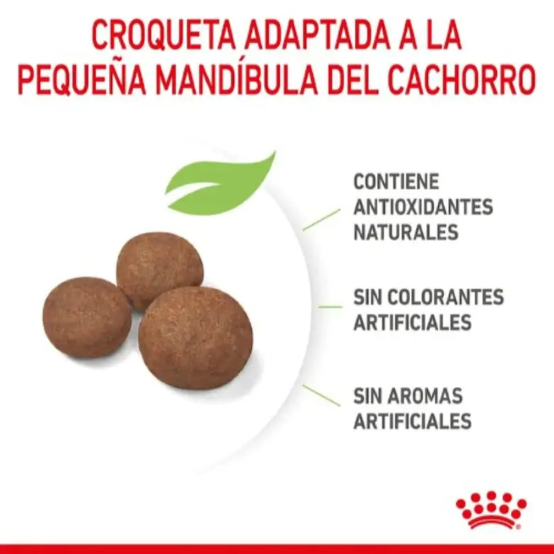 Royal Canin Medium Puppy pienso cachorros raza mediana Gabo y Gordo E Shop