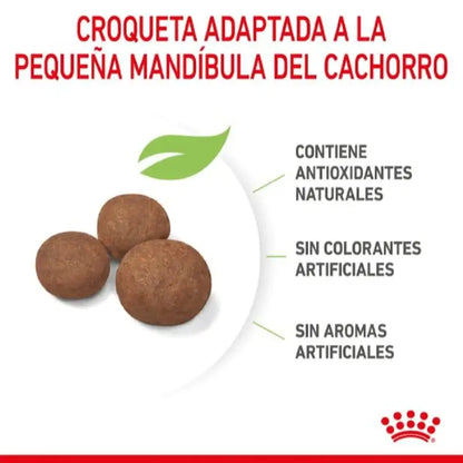 Royal Canin Medium Puppy pienso cachorros raza mediana Gabo y Gordo E Shop