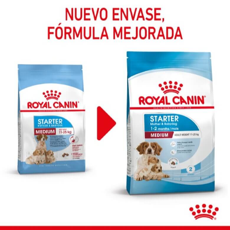Royal Canin Medium Starter Mother & Babydog pienso cachorros Gabo y Gordo E Shop