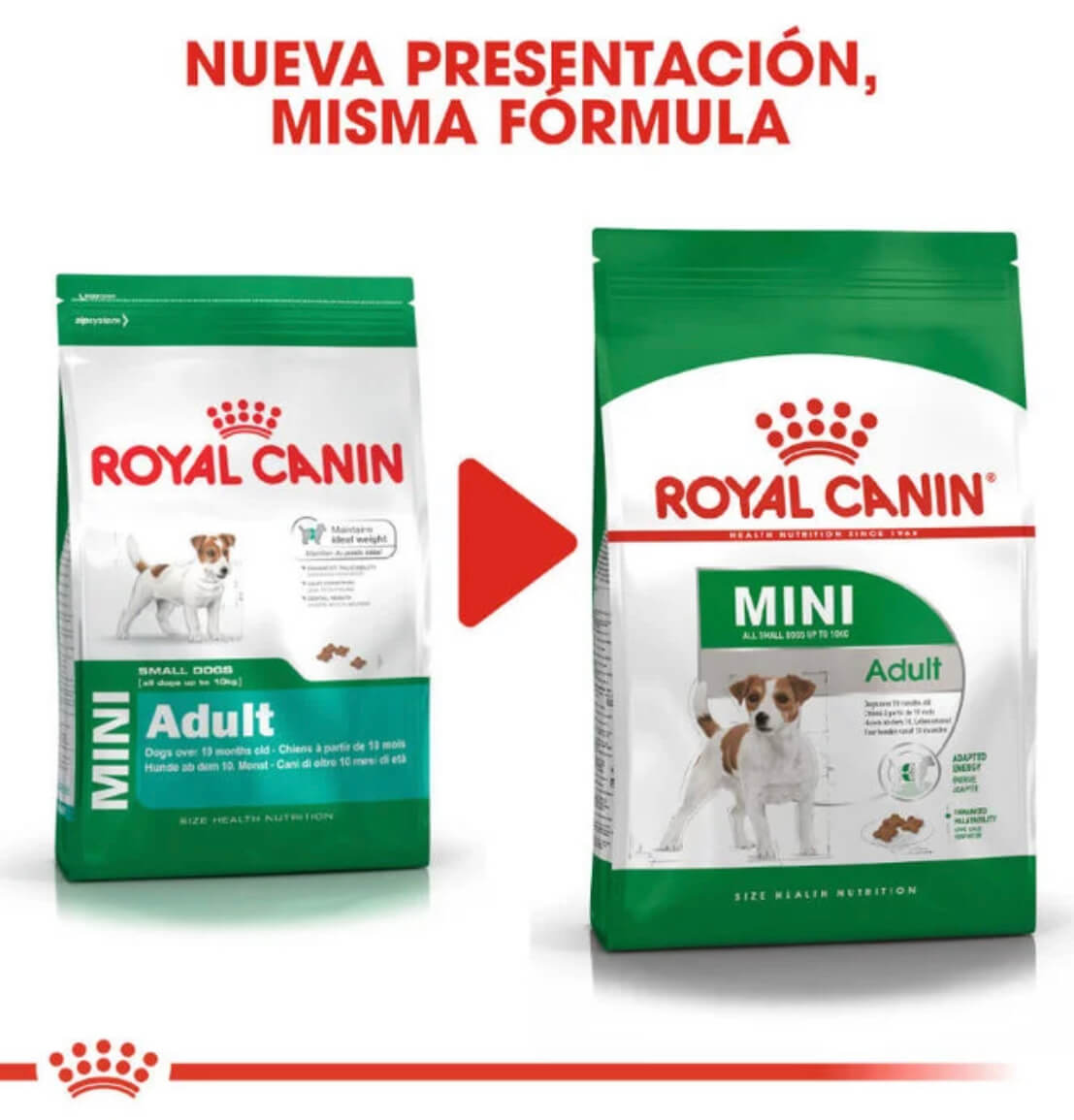 Royal Canin Mini Adult pienso perros raza pequeña Gabo y Gordo E Shop