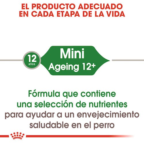 Royal Canin Mini Ageing 12+ pienso perros senior raza pequeña Gabo y Gordo E Shop