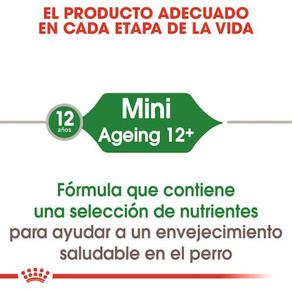 Royal Canin Mini Ageing 12+ pienso perros senior raza pequeña Gabo y Gordo E Shop