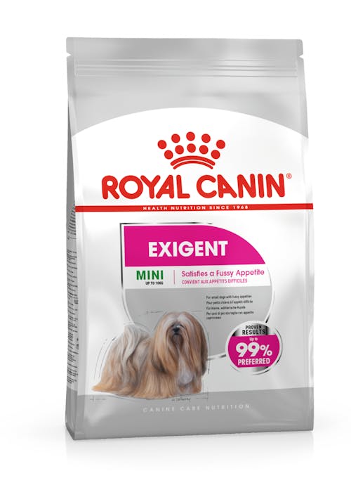 Royal Canin Mini Exigent pienso perros pequeños Gabo y Gordo E Shop