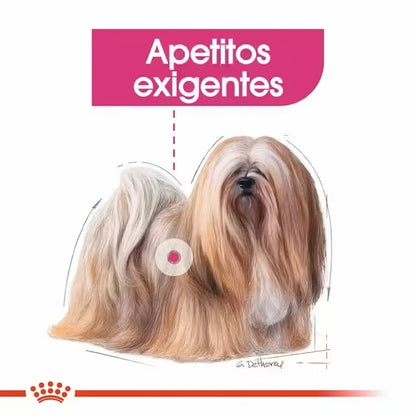 Royal Canin Mini Exigent pienso perros pequeños Gabo y Gordo E Shop