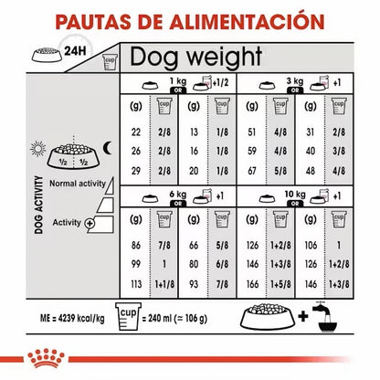 Royal Canin Mini Exigent pienso perros pequeños Gabo y Gordo E Shop