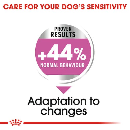 Royal Canin Mini Relax Care pienso perros pequeños Gabo y Gordo E Shop