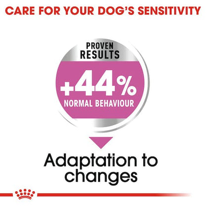 Royal Canin Mini Relax Care pienso perros pequeños Gabo y Gordo E Shop