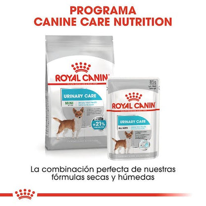 Royal Canin Mini Urinary Care pienso perros pequeños Gabo y Gordo E Shop