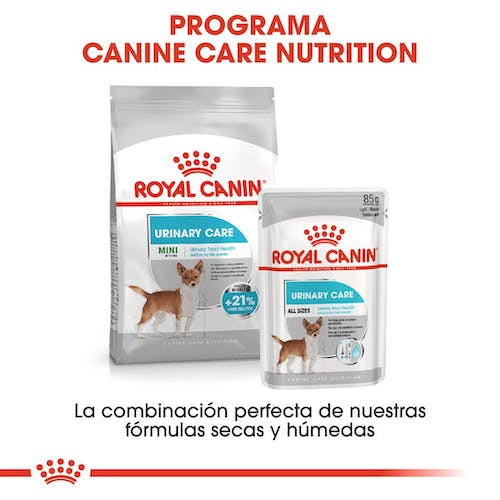 Royal Canin Mini Urinary Care pienso perros pequeños Gabo y Gordo E Shop