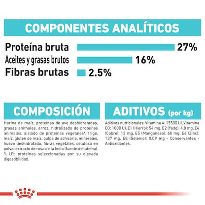 Royal Canin Mini Urinary Care pienso perros pequeños Gabo y Gordo E Shop