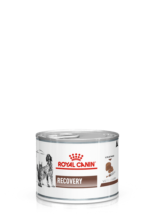 Pack de 12 latas ROYAL CANIN Recovery para perros y gatos en recuperación