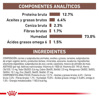 Pack de 12 latas ROYAL CANIN Recovery para perros y gatos en recuperación