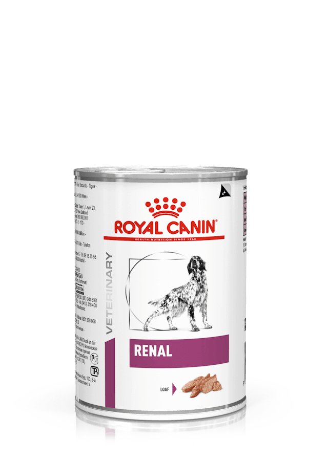 Pack 12 latas Royal Canin Renal paté 200 g — alimento dietético bajo en fósforo para perros con necesidad renal