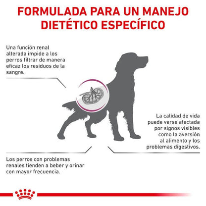 Pack 12 latas Royal Canin Renal paté 200 g — alimento dietético bajo en fósforo para perros con necesidad renal