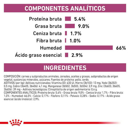 Pack 12 latas Royal Canin Renal paté 200 g — alimento dietético bajo en fósforo para perros con necesidad renal