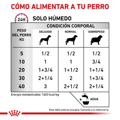 Pack de 12 latas ROYAL CANIN Renal Special Paté para perros con enfermedad renal