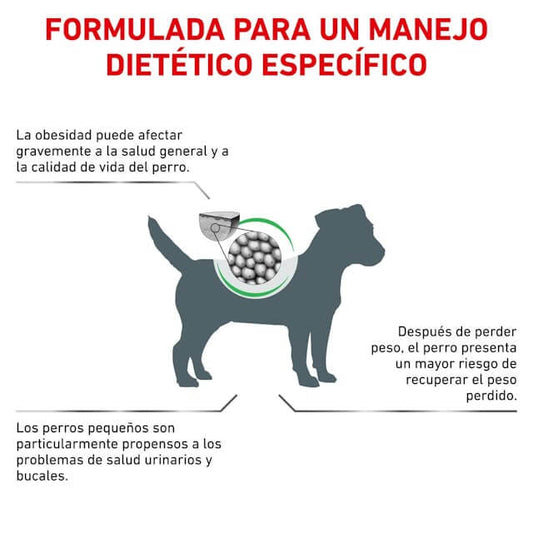Royal Canin Satiety Weight Management Small Dog, pienso dietético para perros pequeños con sobrepeso.