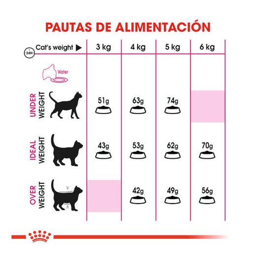 ROYAL CANIN Savour Exigent pienso para gatos exigentes adultos 1-10 años Gabo y Gordo E Shop Canarias España
