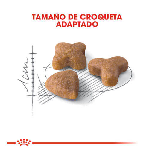 Pienso ROYAL CANIN Sensible 33 para gatos adultos con digestión sensible.