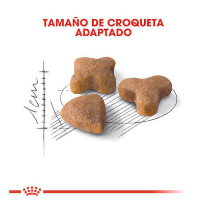 Pienso ROYAL CANIN Sensible 33 para gatos adultos con digestión sensible.