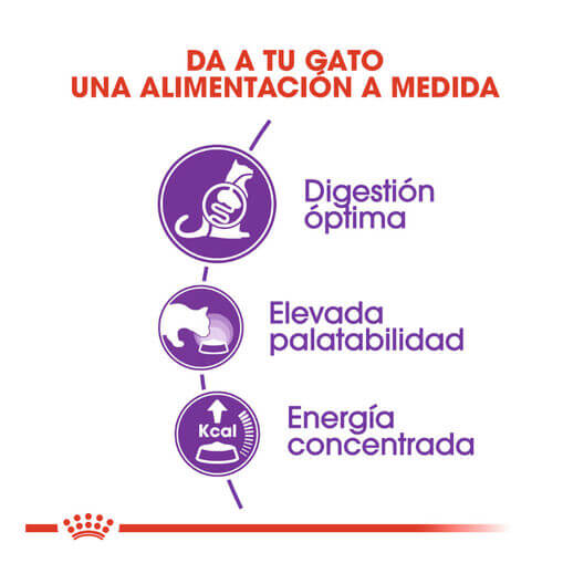 Pienso ROYAL CANIN Sensible 33 para gatos adultos con digestión sensible.